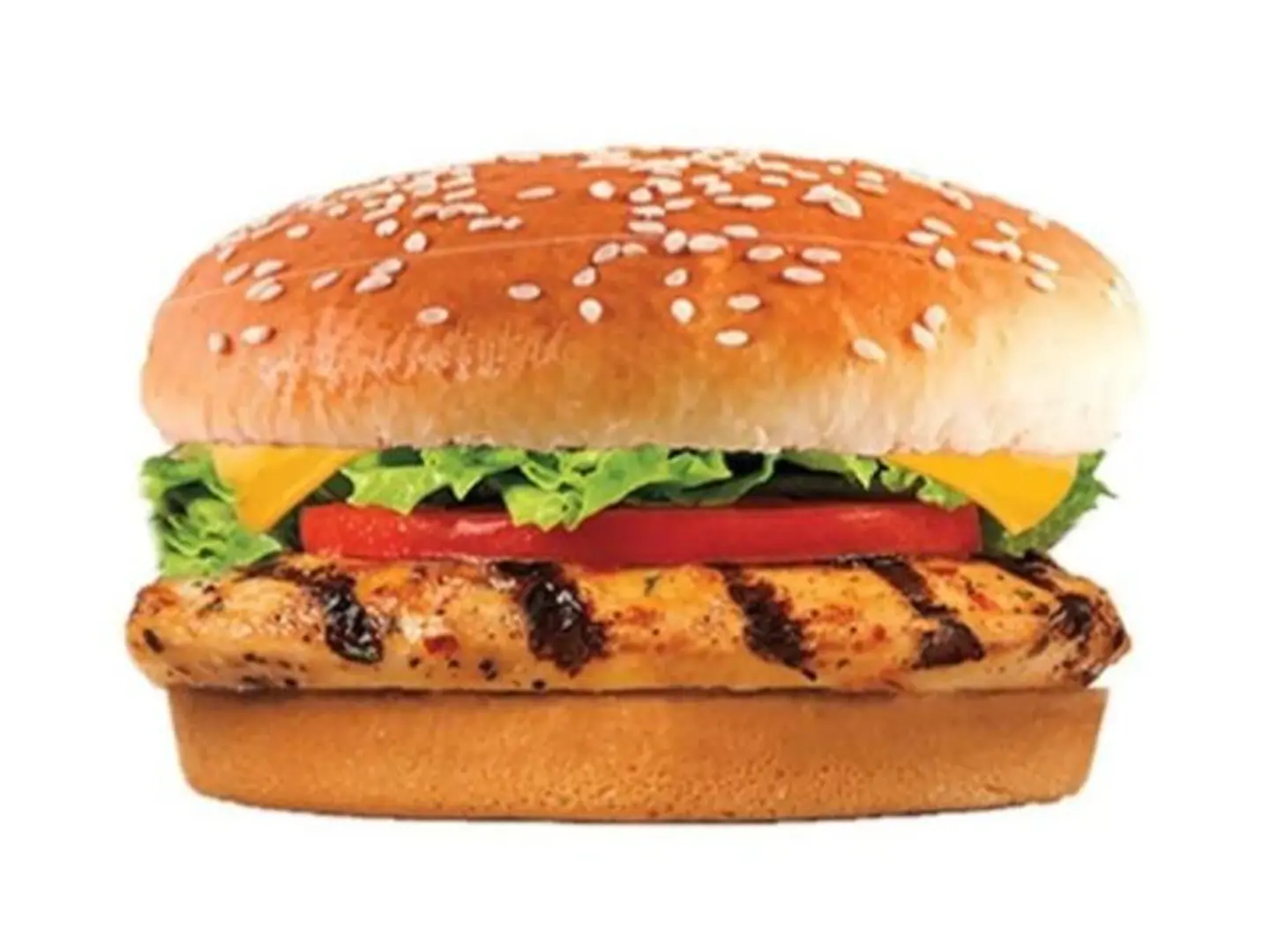 Grilled Chicken - Regular