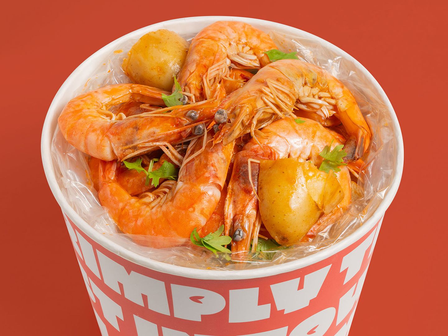 Bin Shrimp Box - Medium 8 Pieces