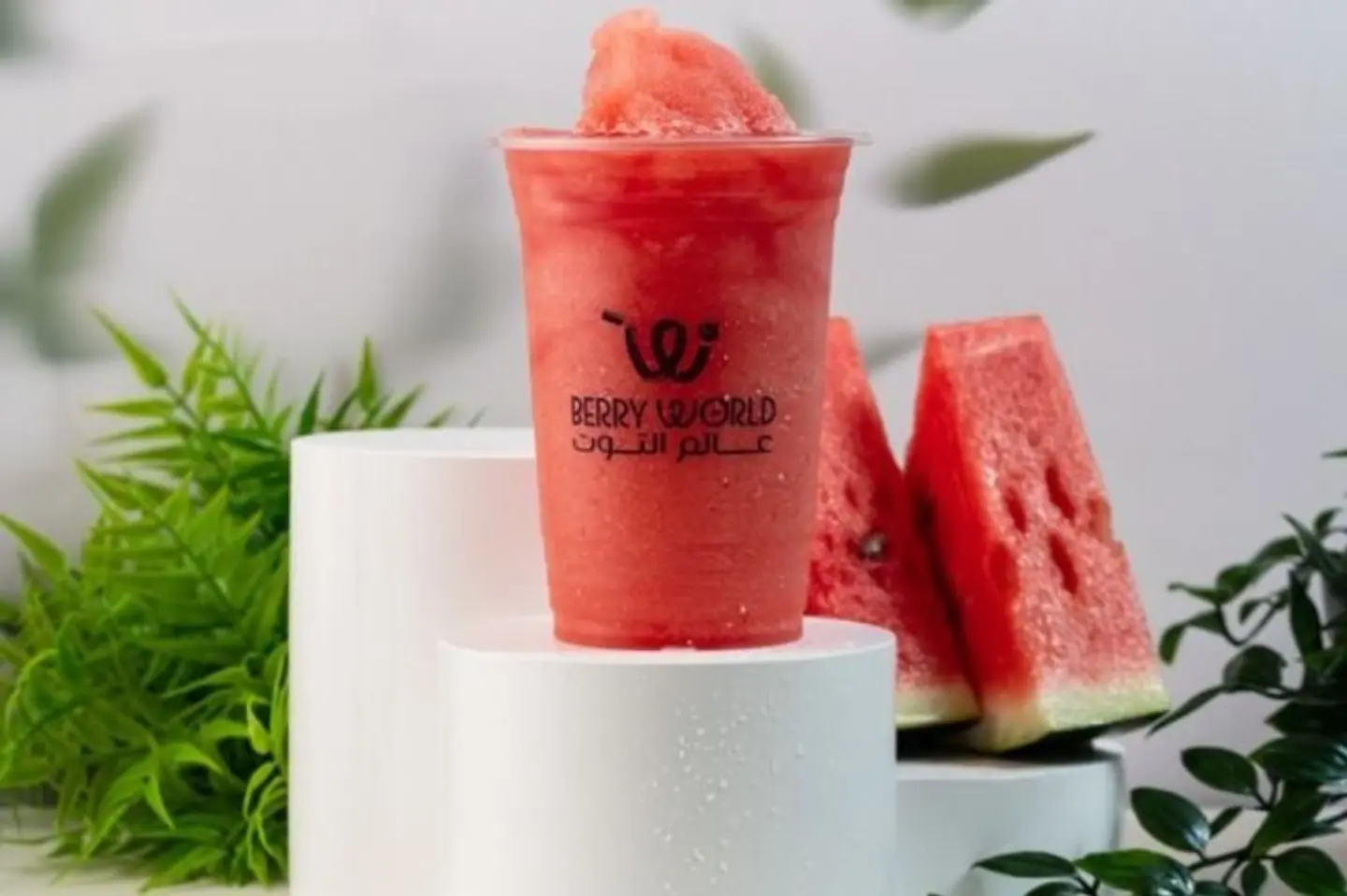 Watermelon - Medium