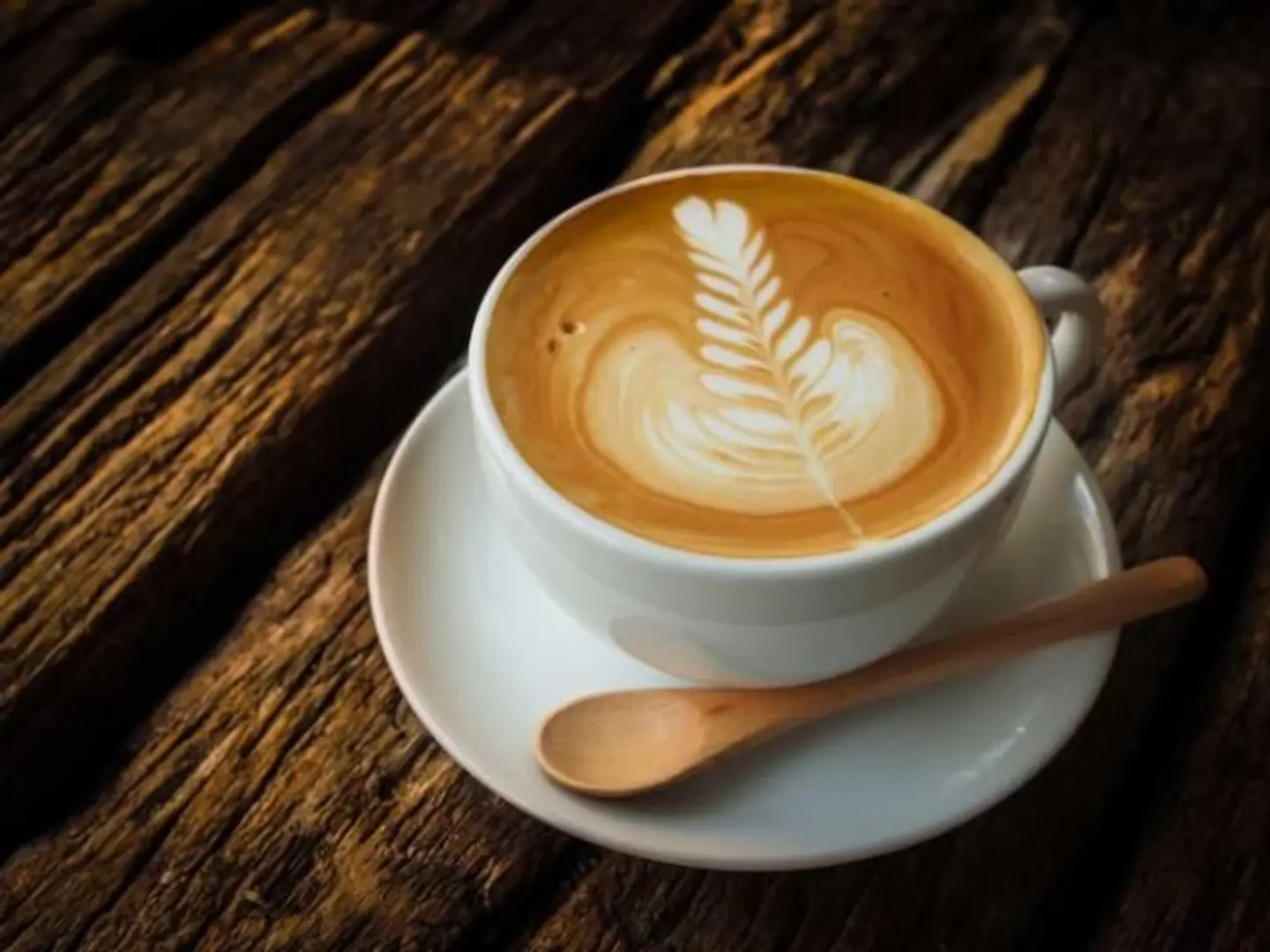 Latte - Medium