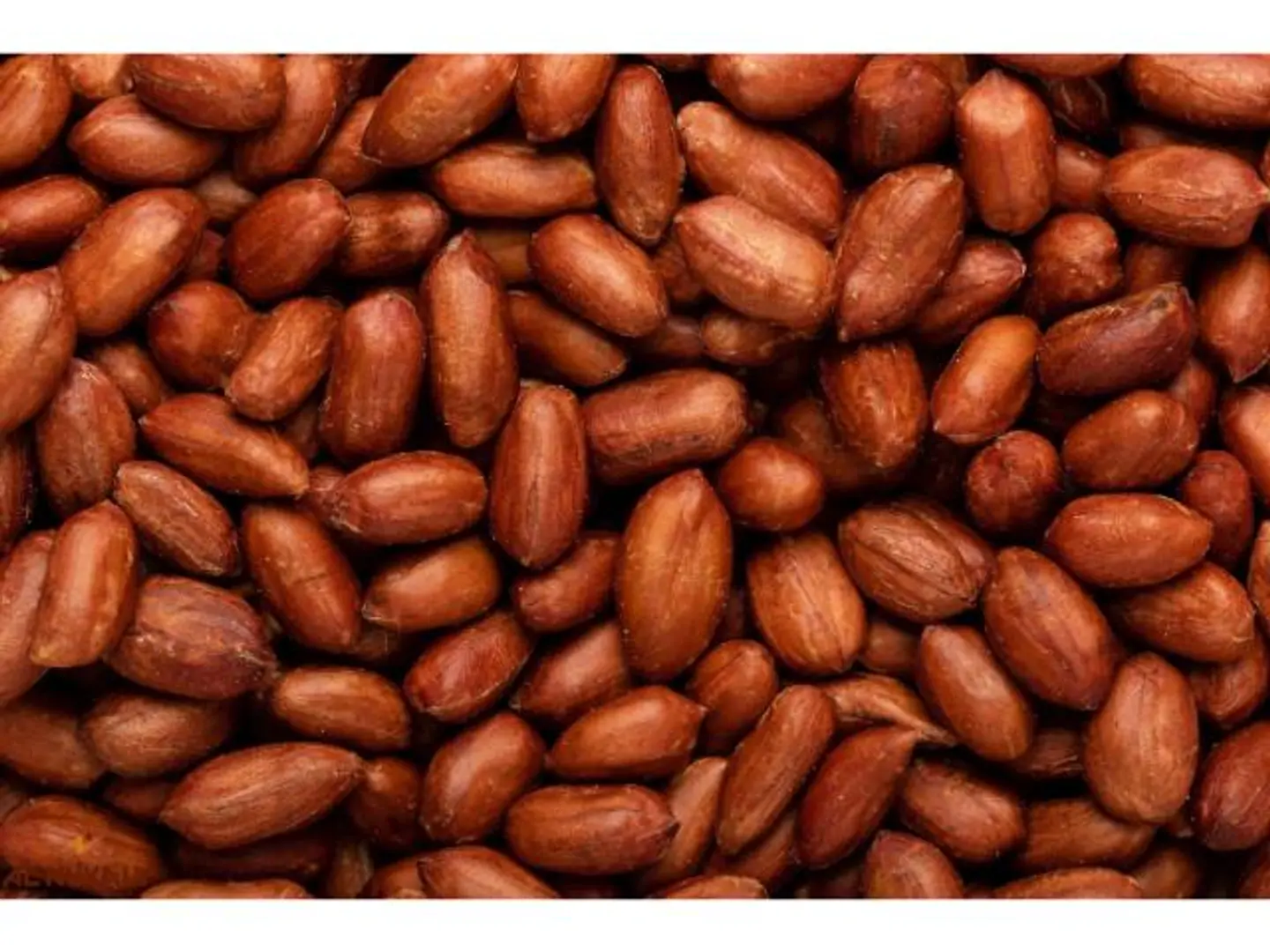 Roasted Red Peanuts - 250 Grams