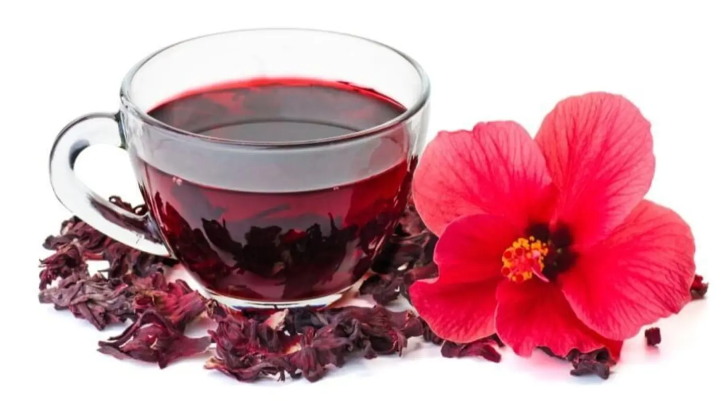 Hot Hibiscus - Small