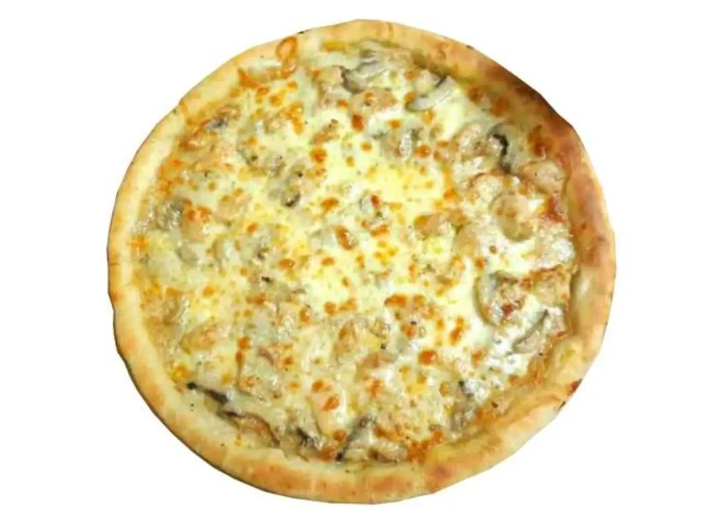 Chicken Alfredo - Medium