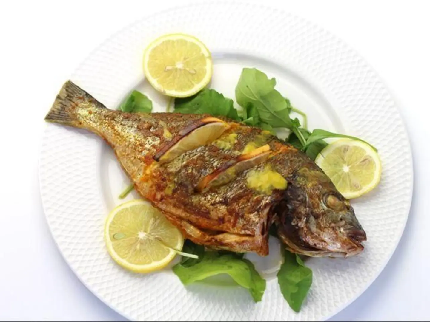 Supreme 1/2 Kg - Oven