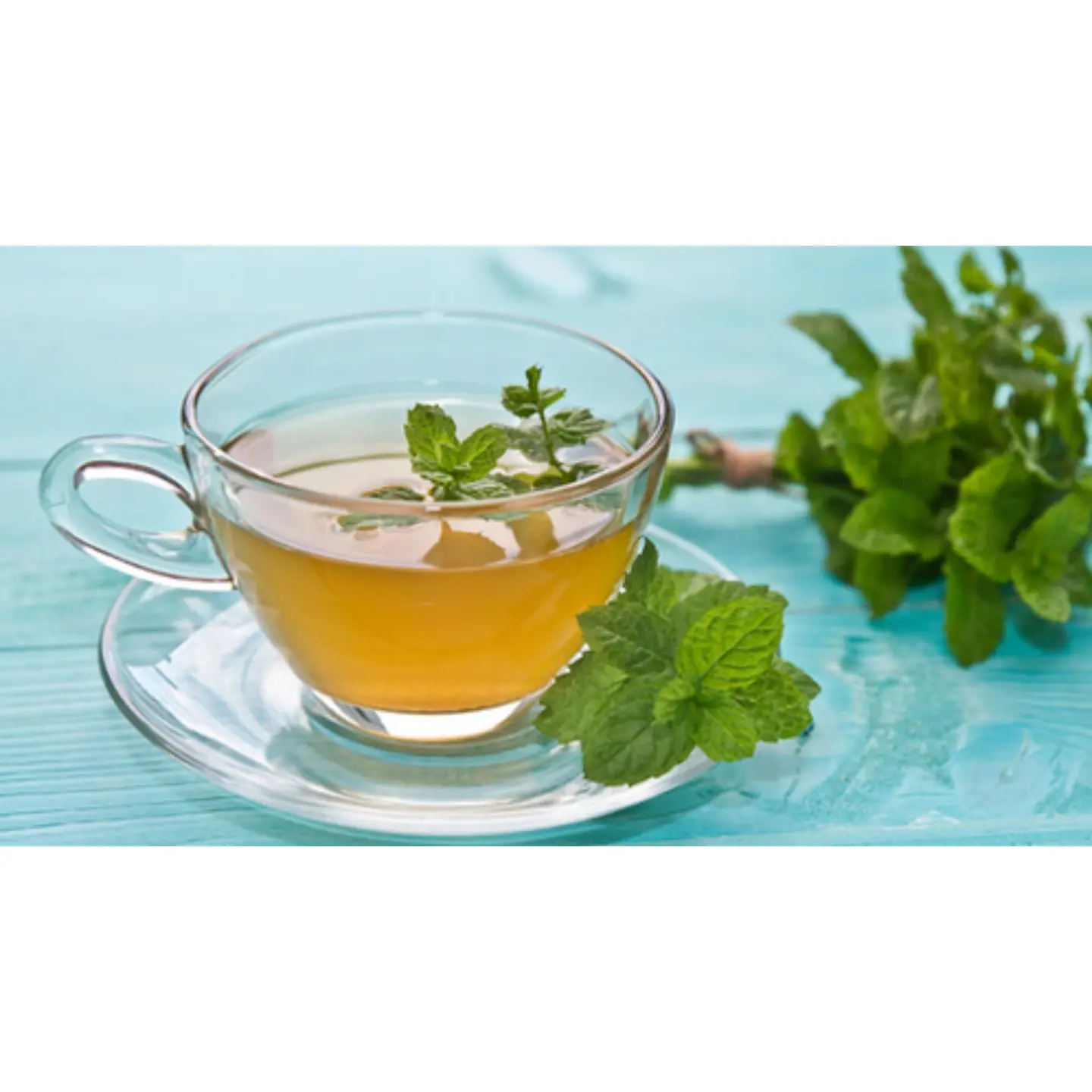 نعناع طائفي - كوب