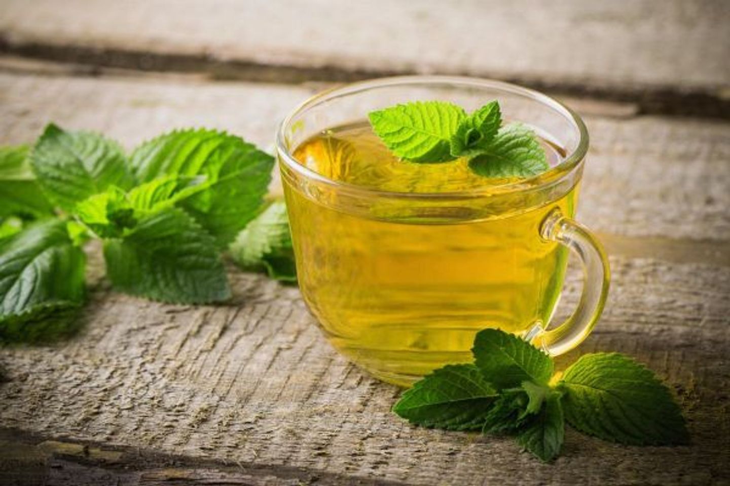 Mint Tayifi - Cup