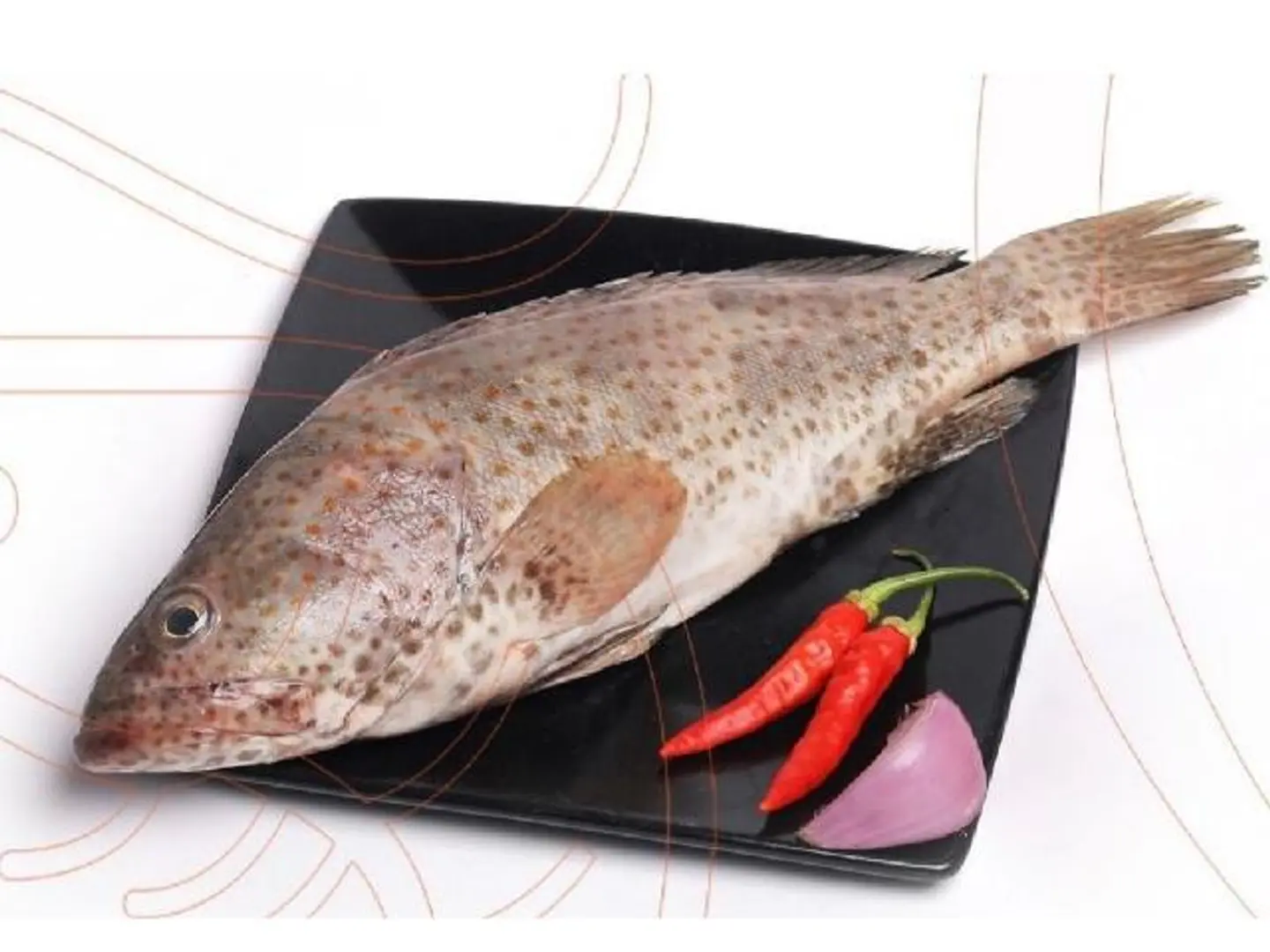 Hammour - 0.5 Kg Grilled