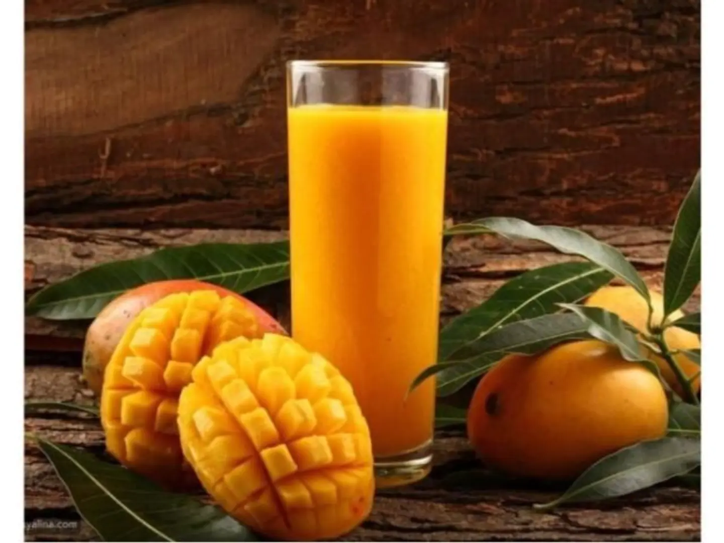 مانجو - صغير