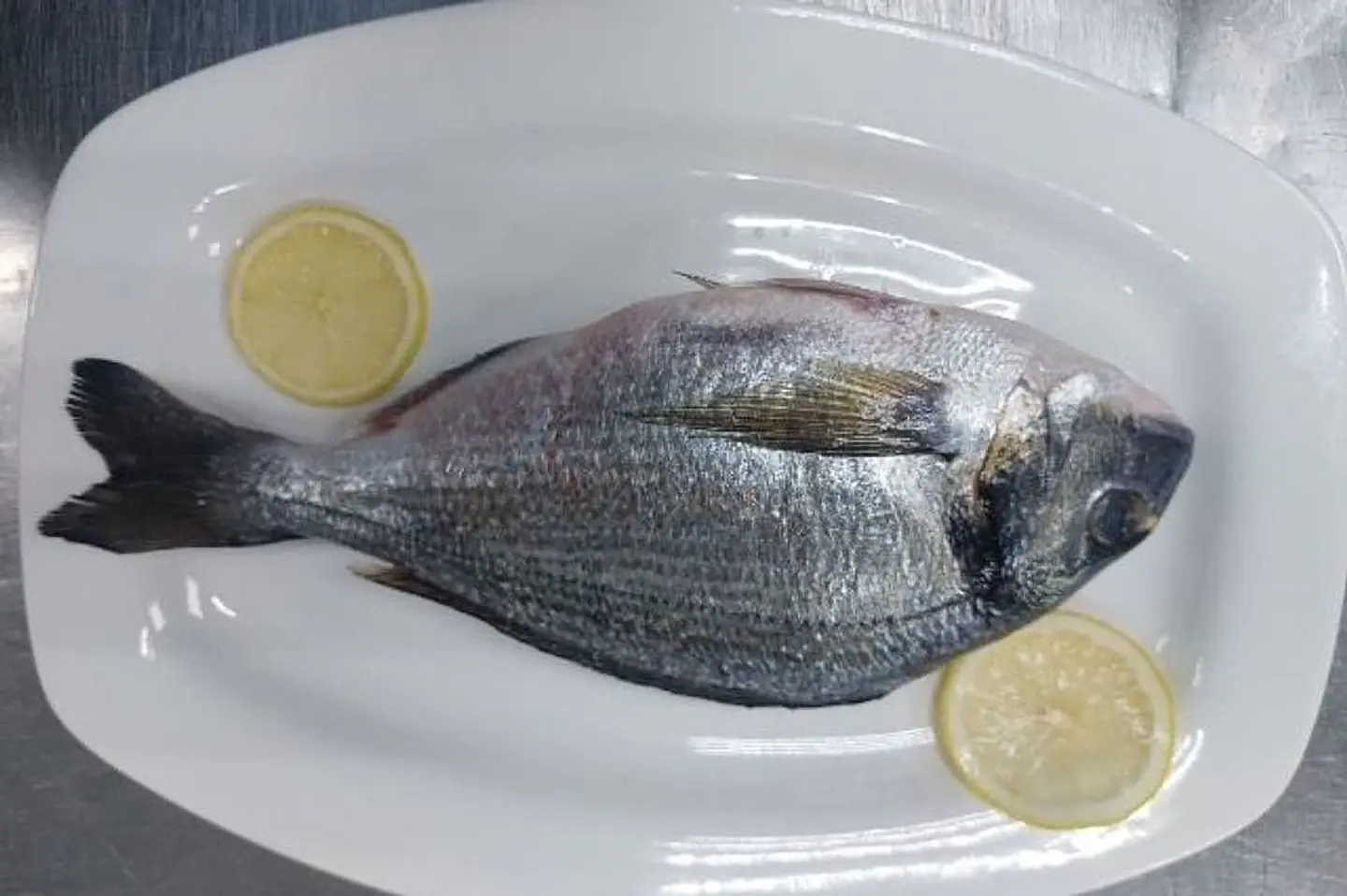 Fish Seabream - 1/2 Kilo