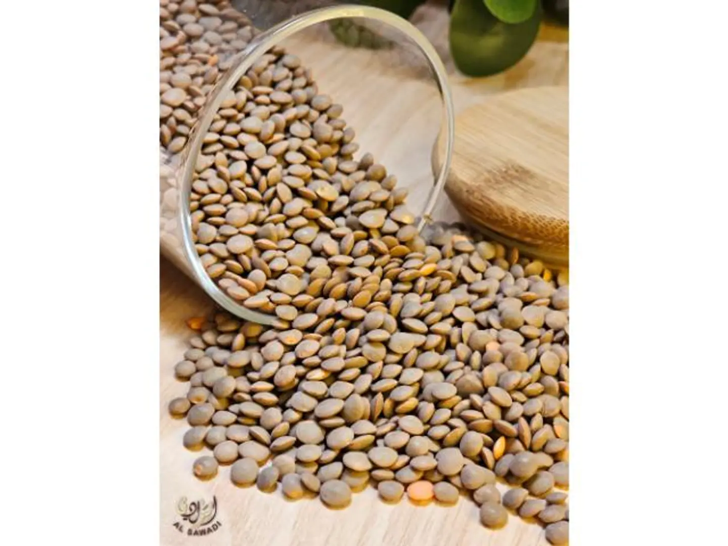 عدس بني - 500 جرام