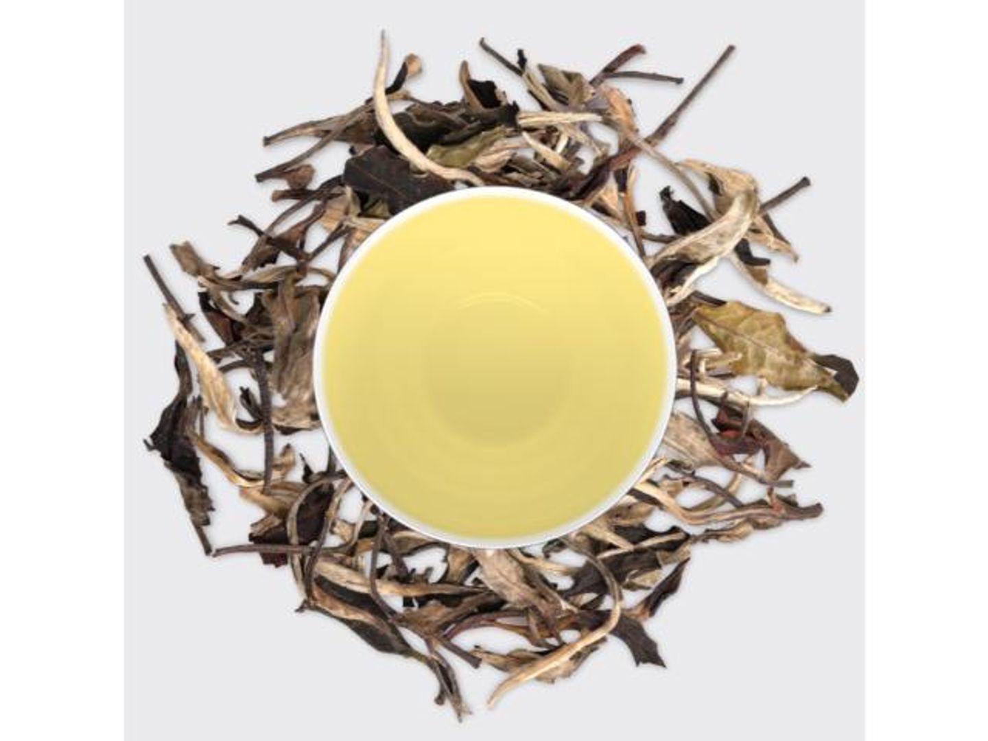 White Moonlight Lemon Tea - Medium