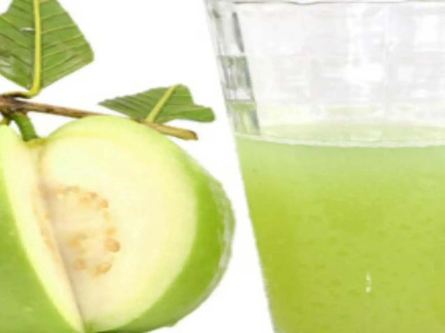 Guava - Small