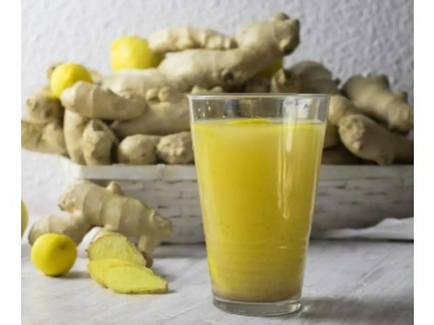 Gingerlin - Medium