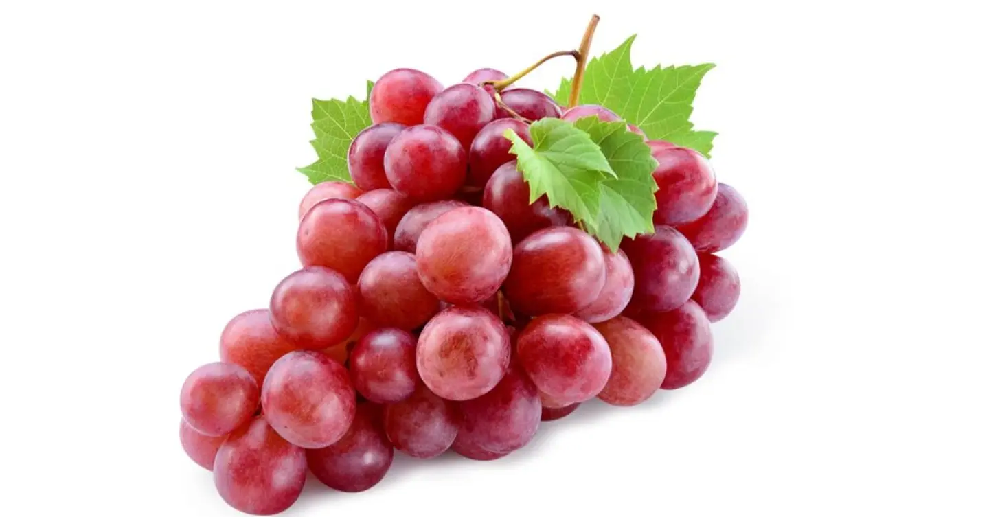 قطع عنب - كأس