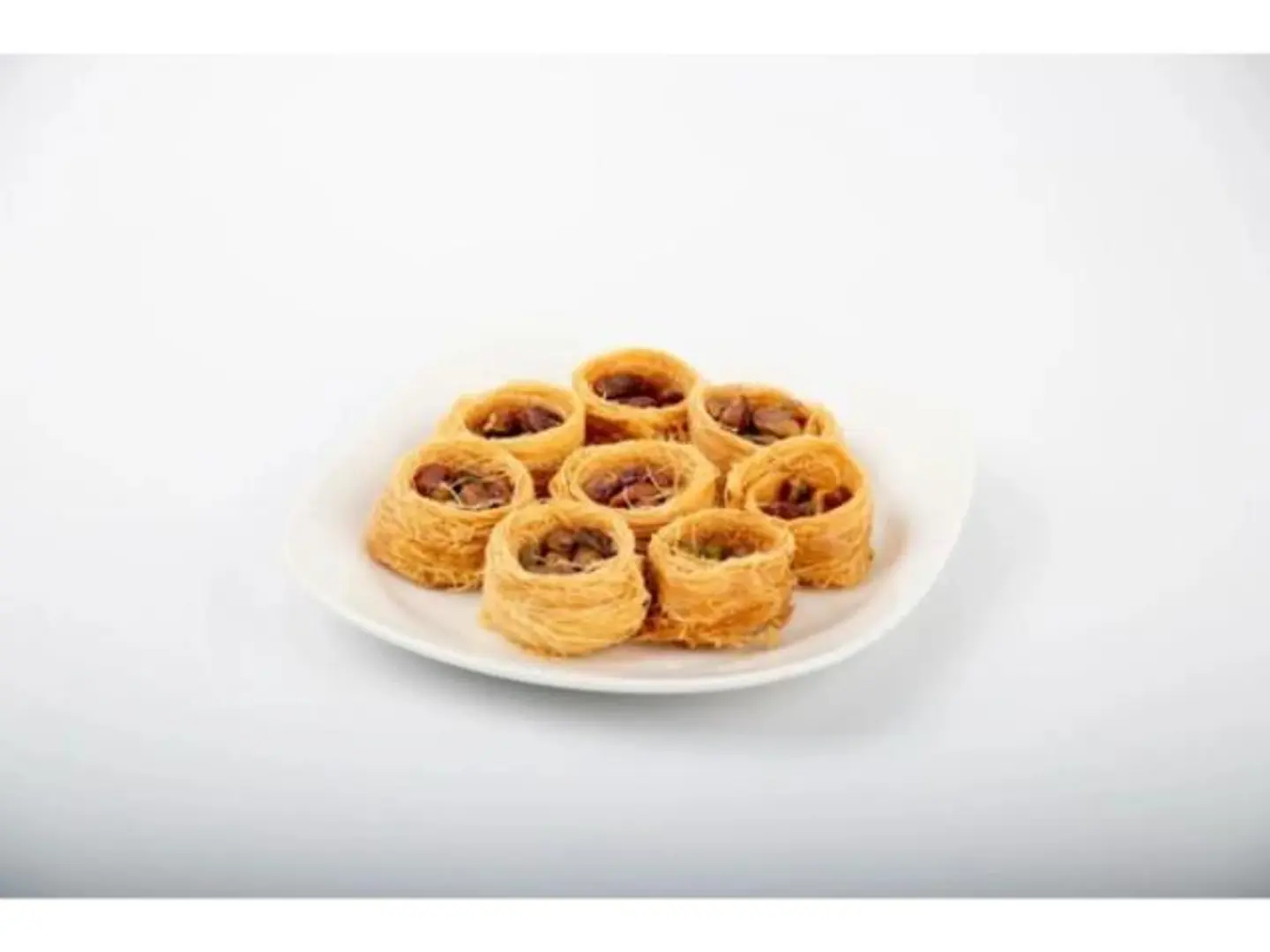 Ash Albulbul - Small