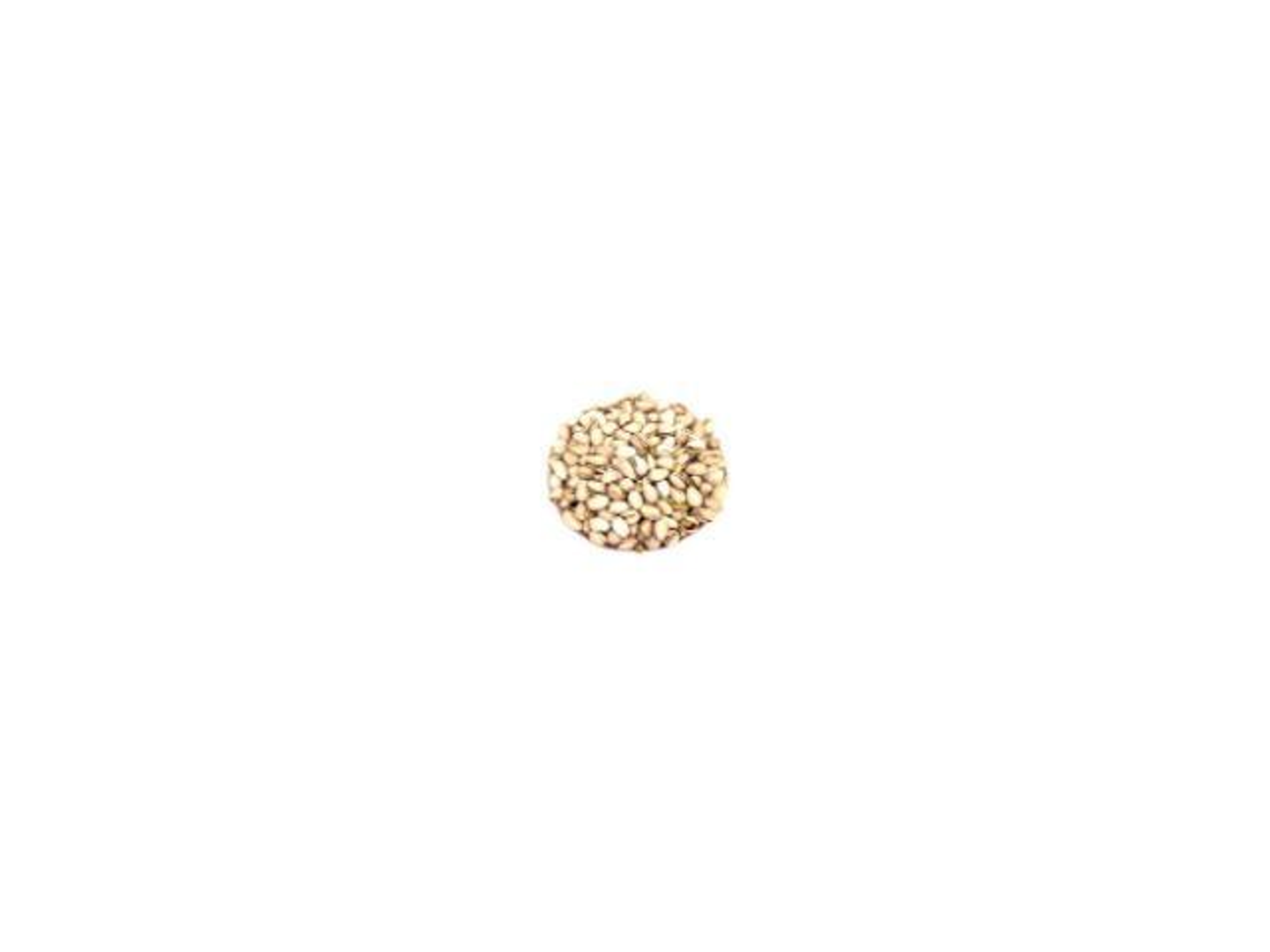 Plain American Pistachios Jumbo - 250 Grams