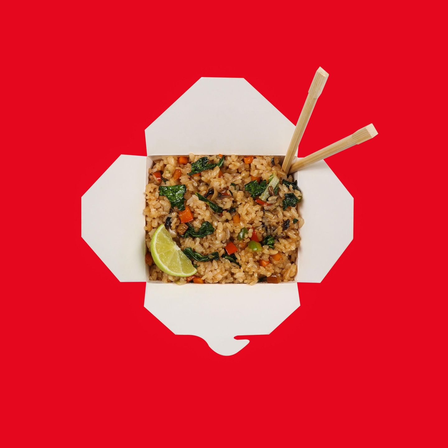 Fried Rice - Vegetables