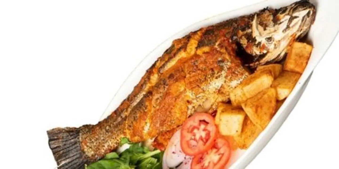 See Bass Fish - See Bass Fish