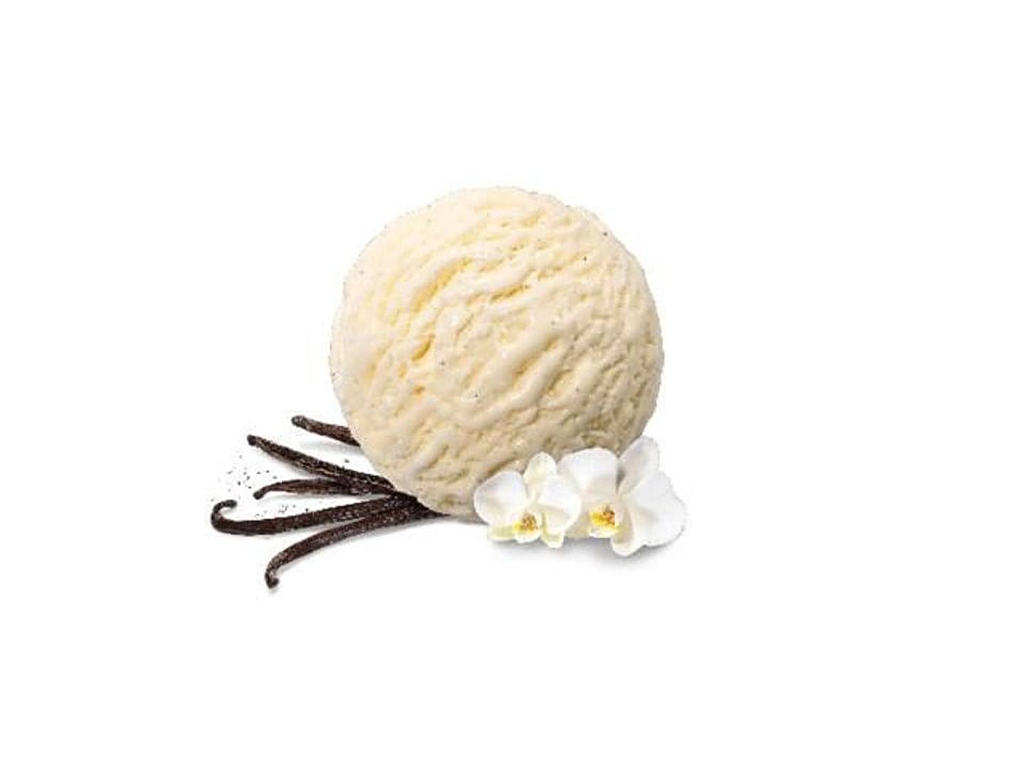 Vanilla Dream - 1 Medium Scoop
