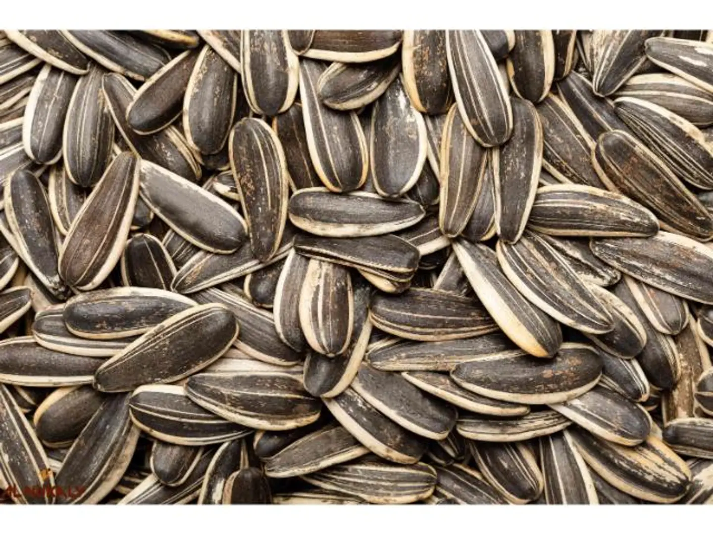 Salted Sunflower Seeds - 250 Grams