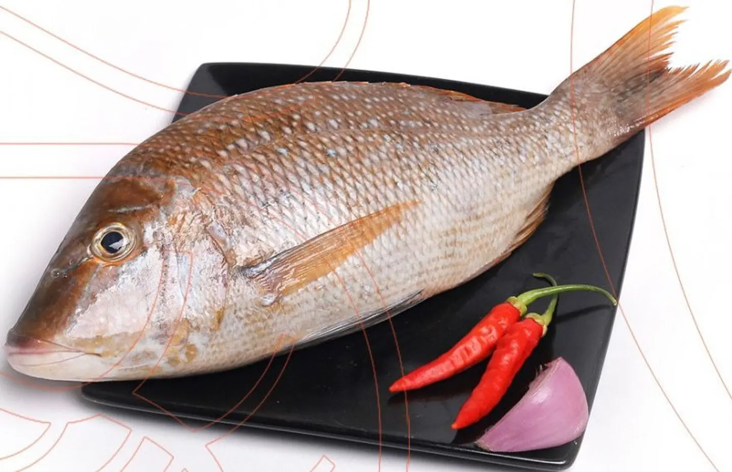 سمك شعور - سمك شعور-500 جرام