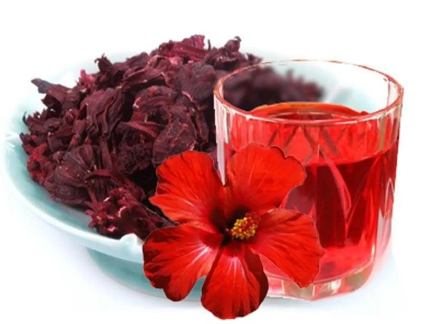 Hibiscus - Paper Cup