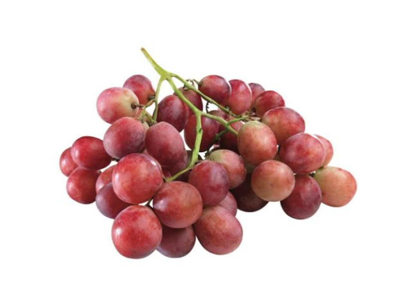 قطع عنب أحمر - صغير