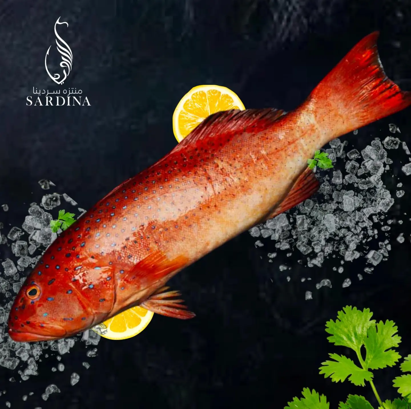 Fried Nagel Fish - 1 Kg