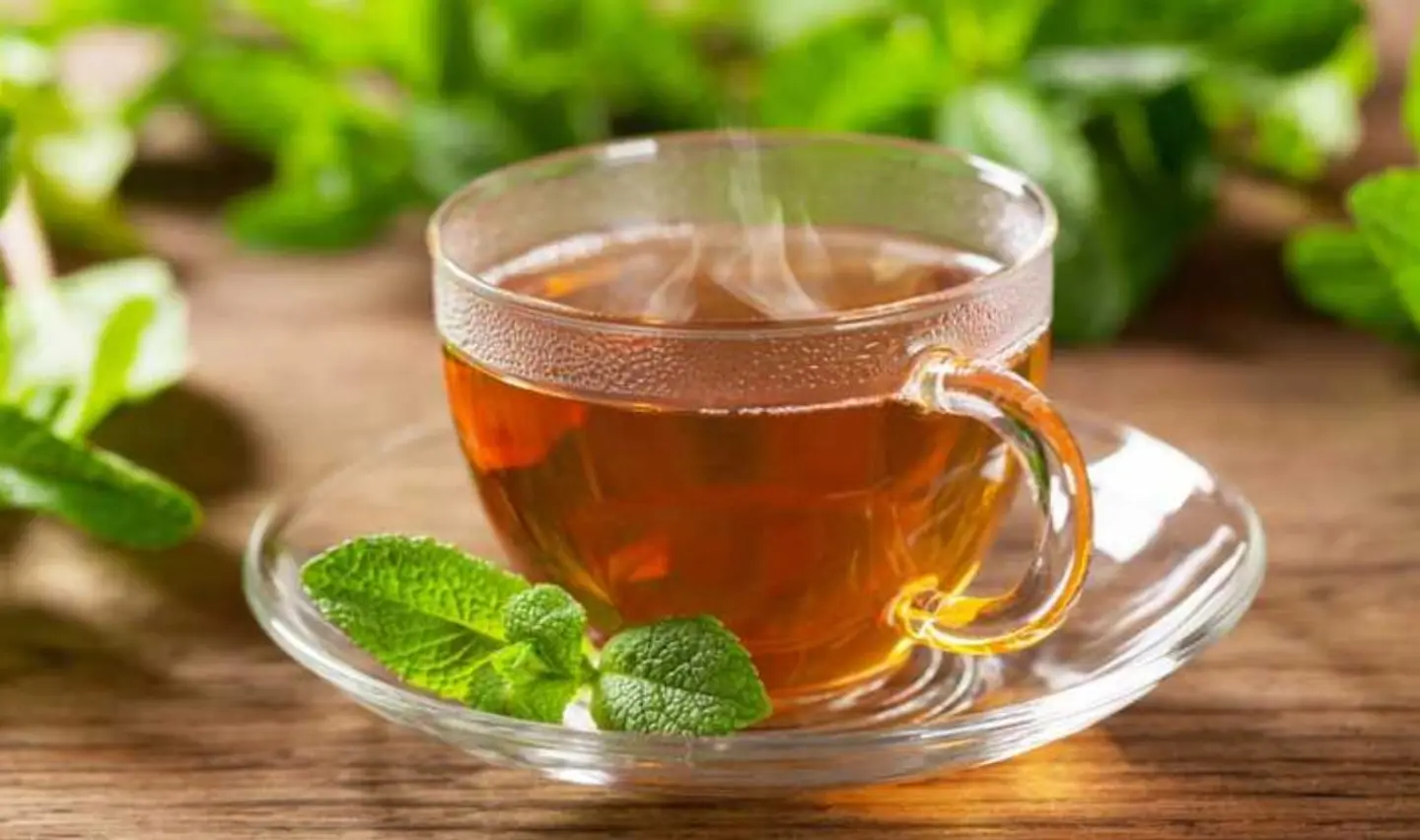 نعناع - كبير