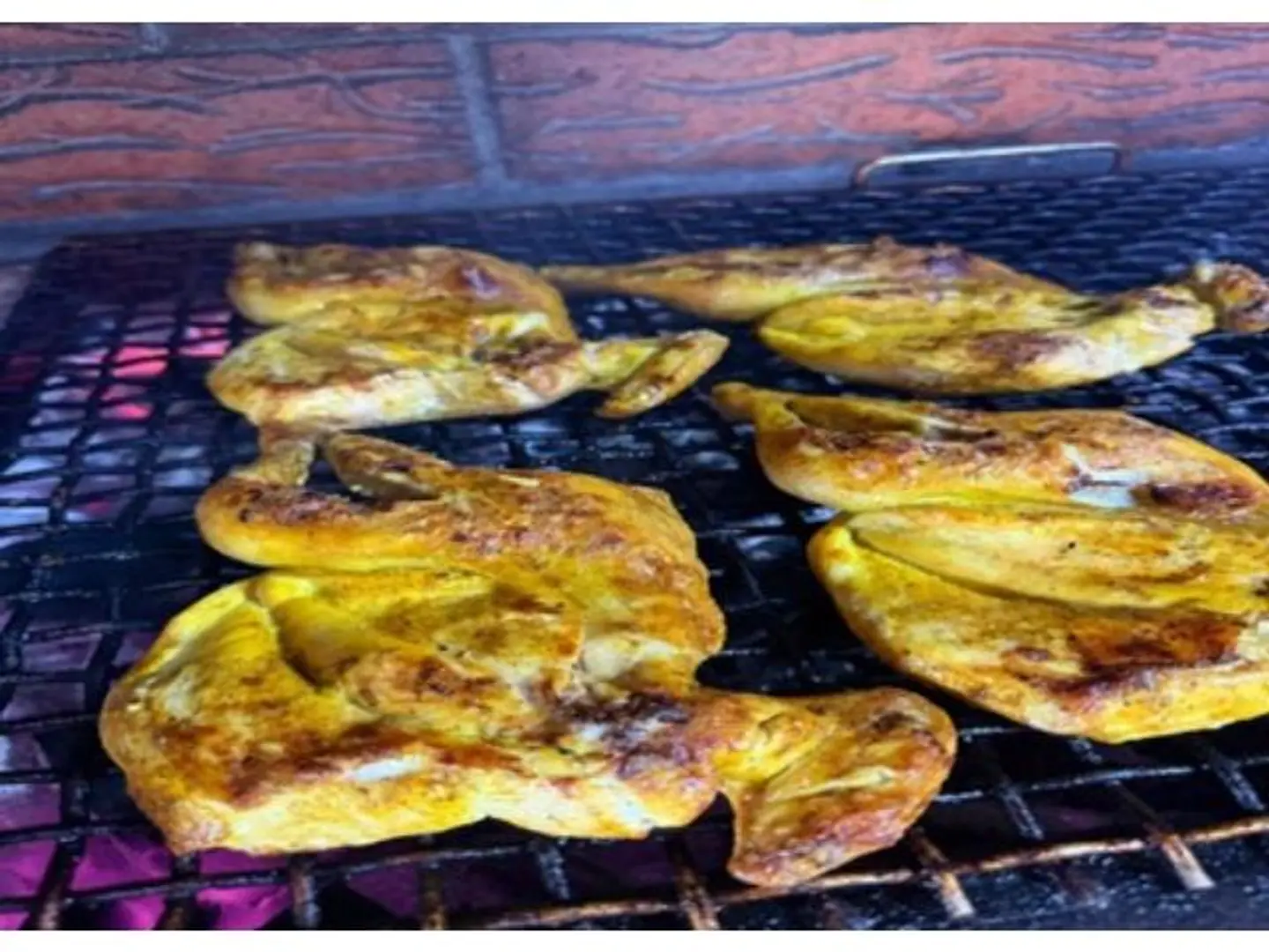 مظبي سادة - نص حبة دجاج