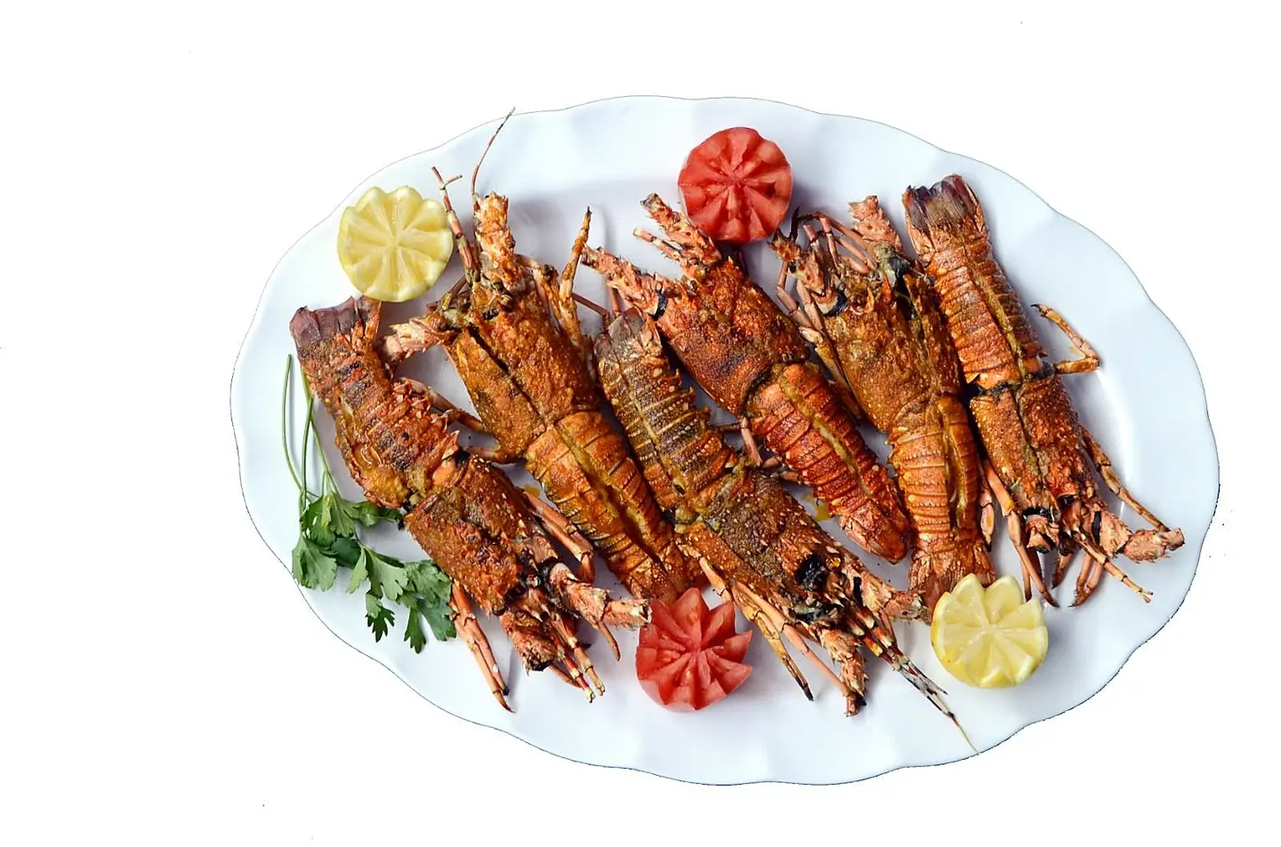 Lobster - Half A Kilo