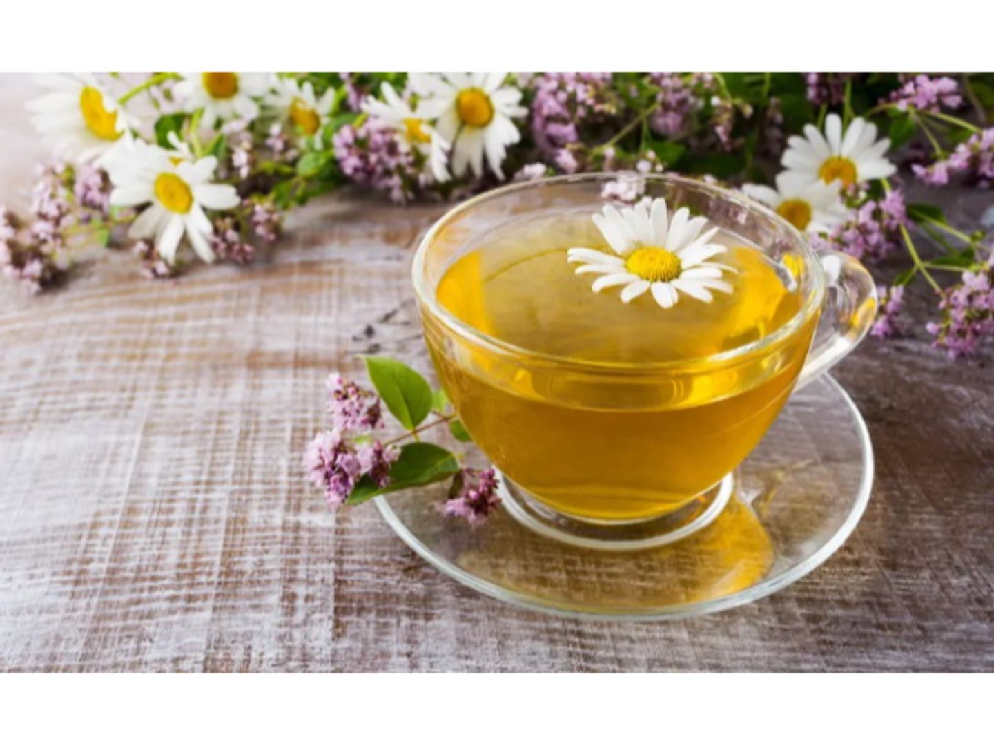 البابونج - وسط