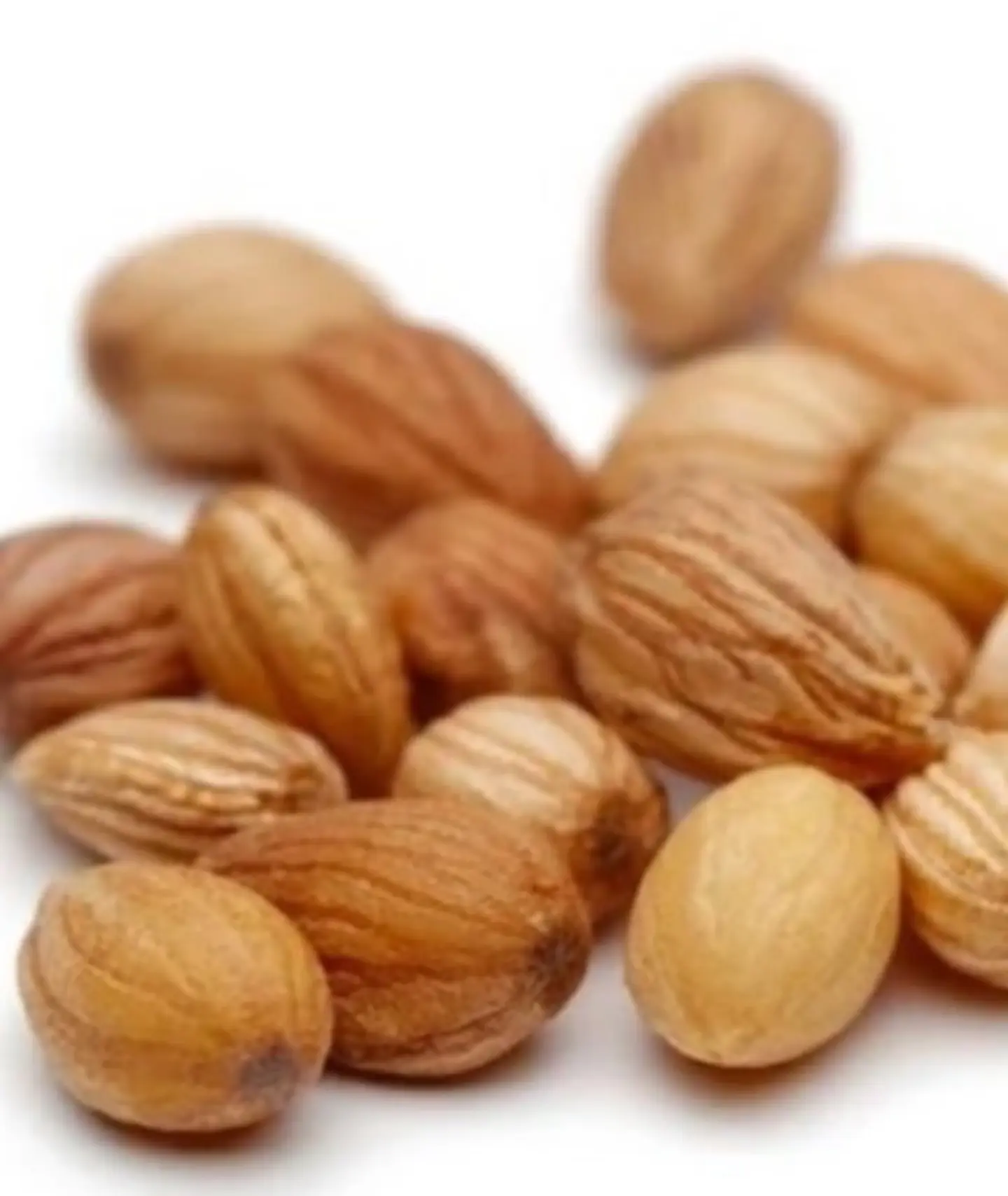 Syrian Mahalab - 125 G