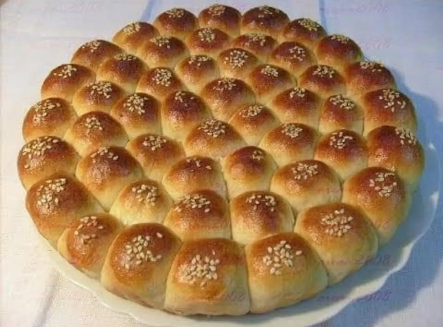 خلية النحل - كبير