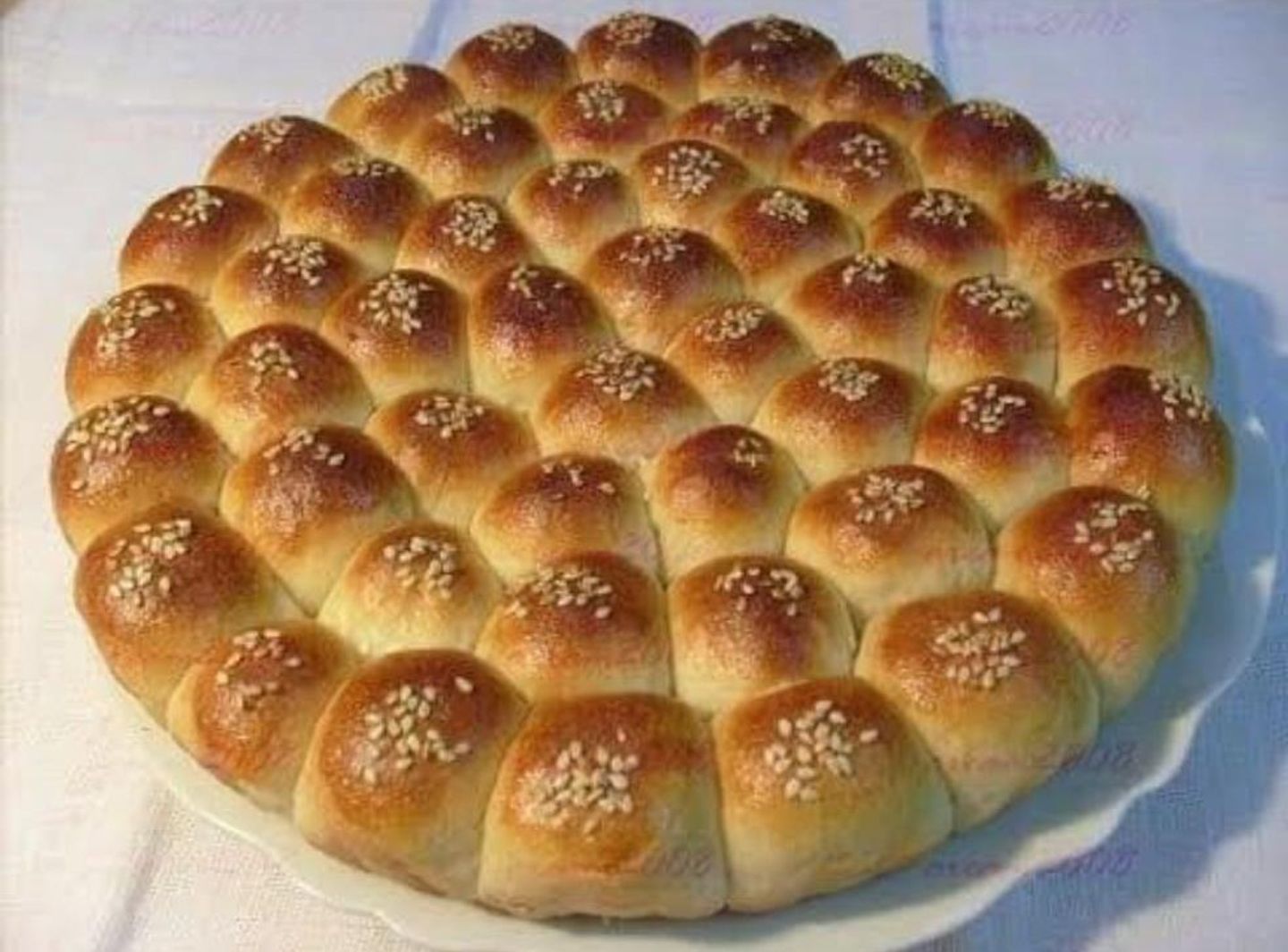 خلية النحل - كبير