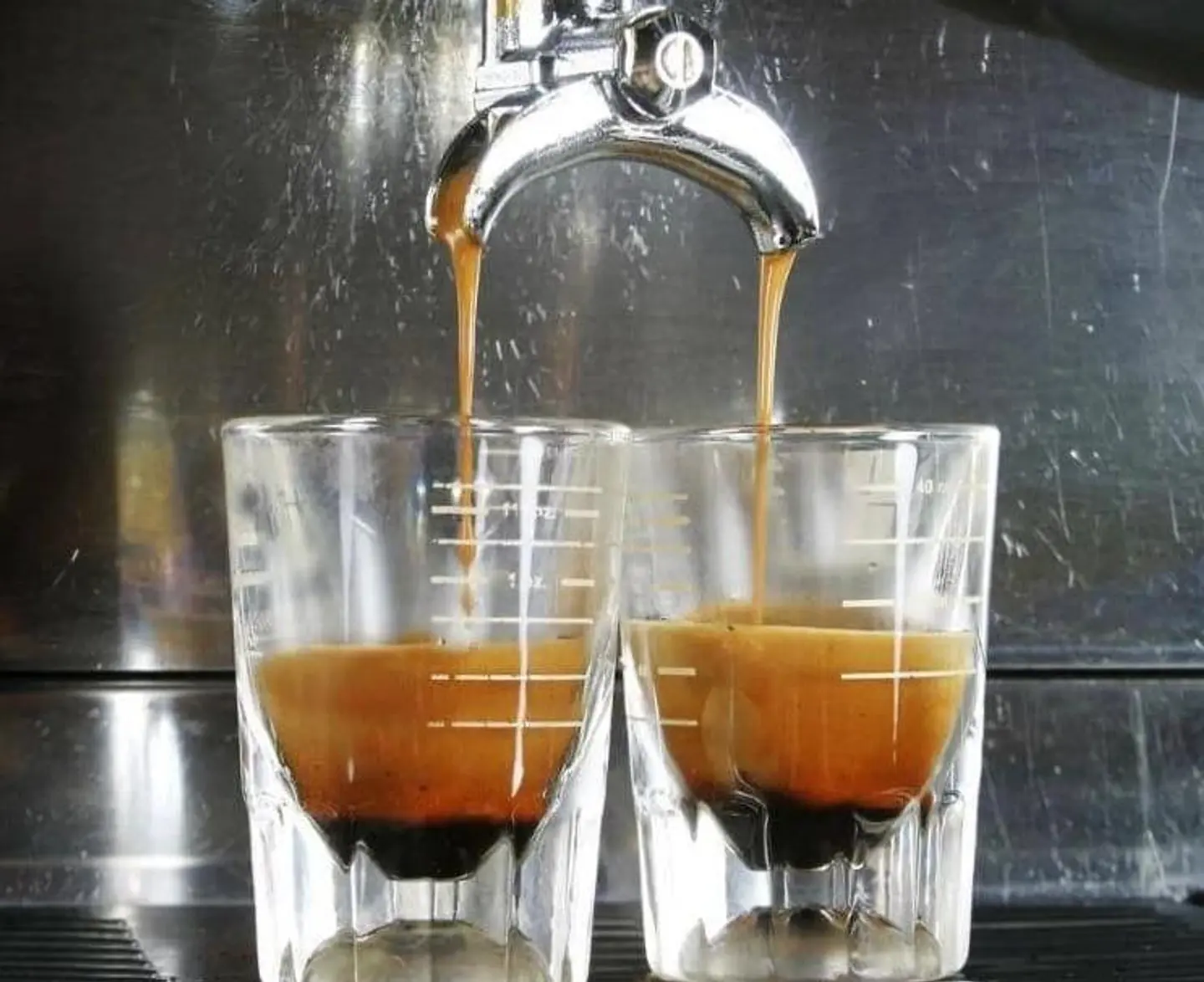 Espresso - Medium