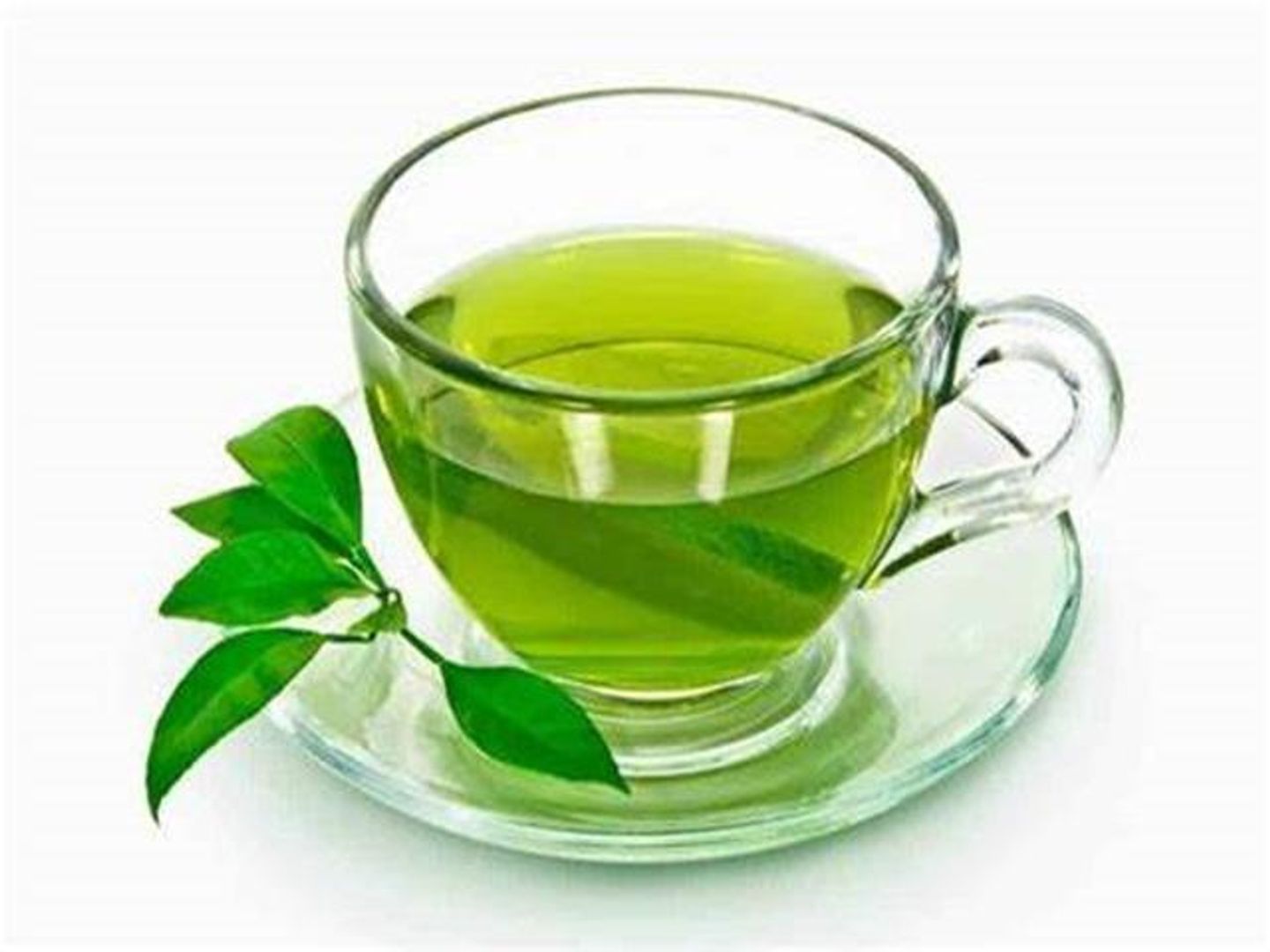 Taif Mint - Small
