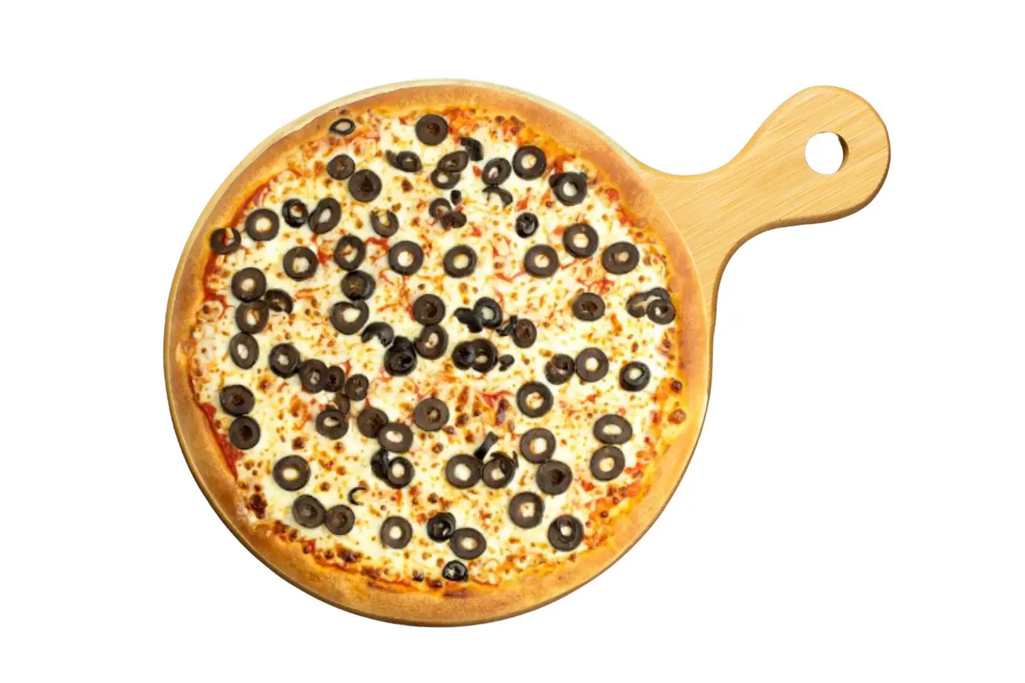 عش بلبل زيتون - صغير