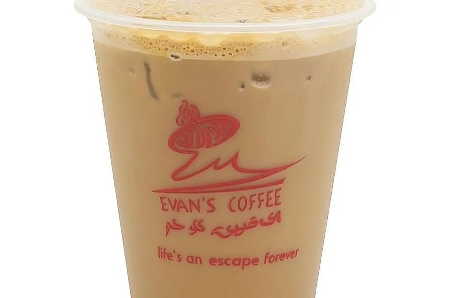 Iced Mocha - Large