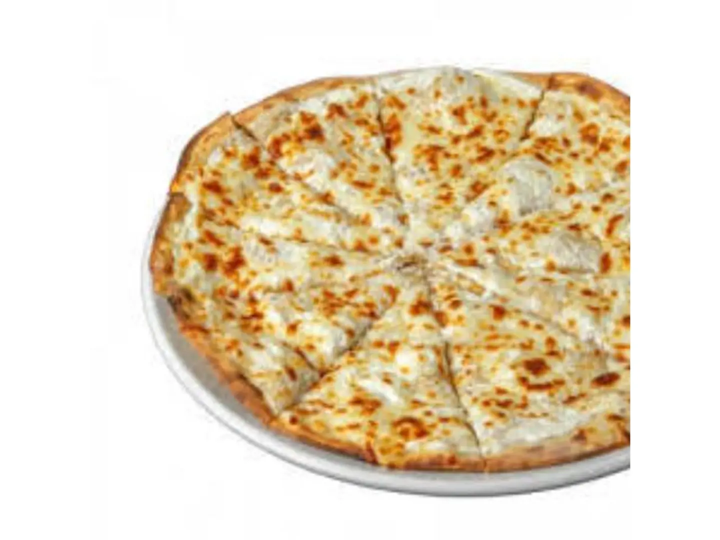 Ash Albulbul - Small