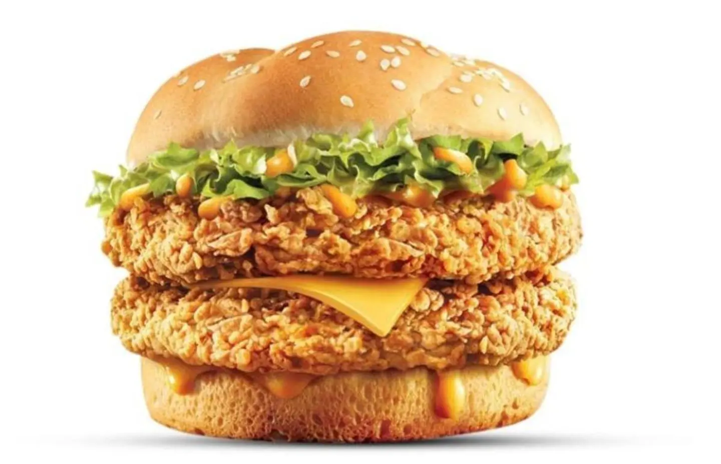 محشي دجاج - عادي