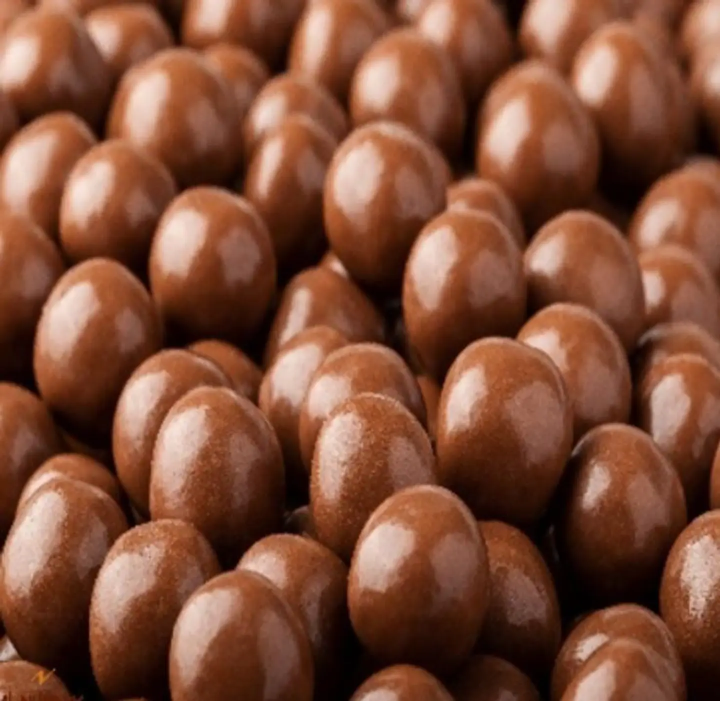 Belgian Dragee Roasted Hazelnut In Chocolate - 250 Grams