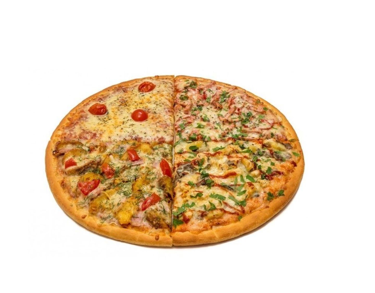 Four Season Pizza - Medium