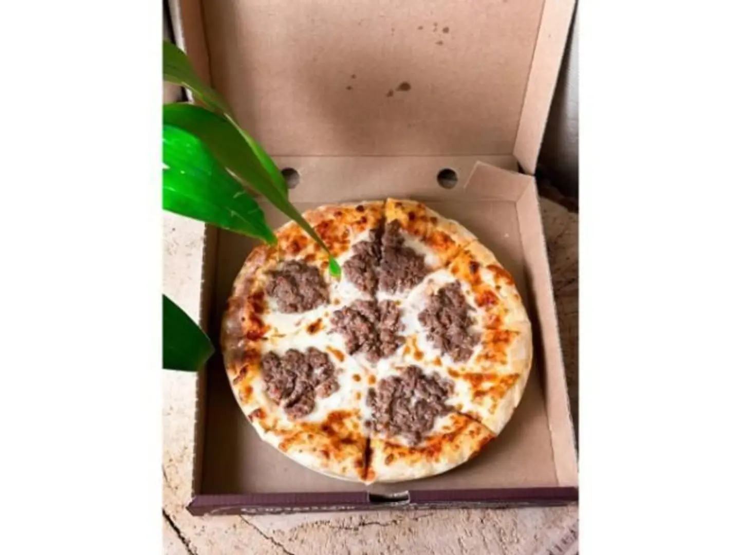 Meat Pizza - Small