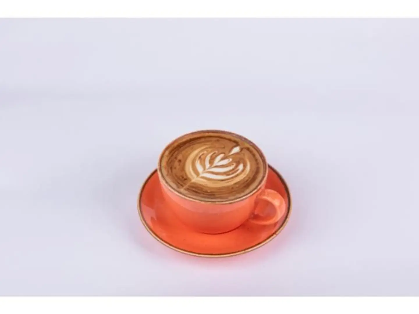 Cappuccino - Medium