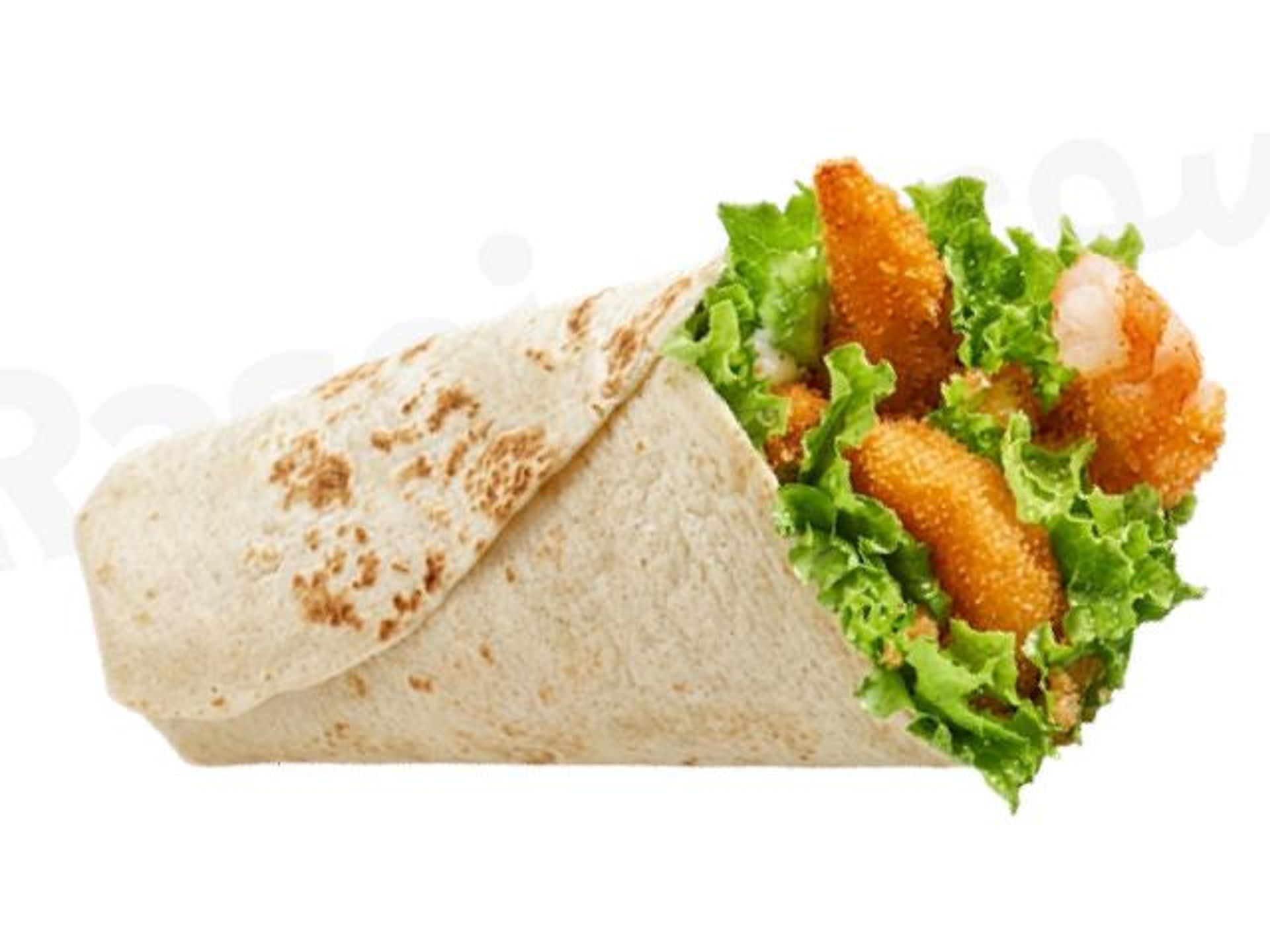 تورتيلا جمبري - صغير