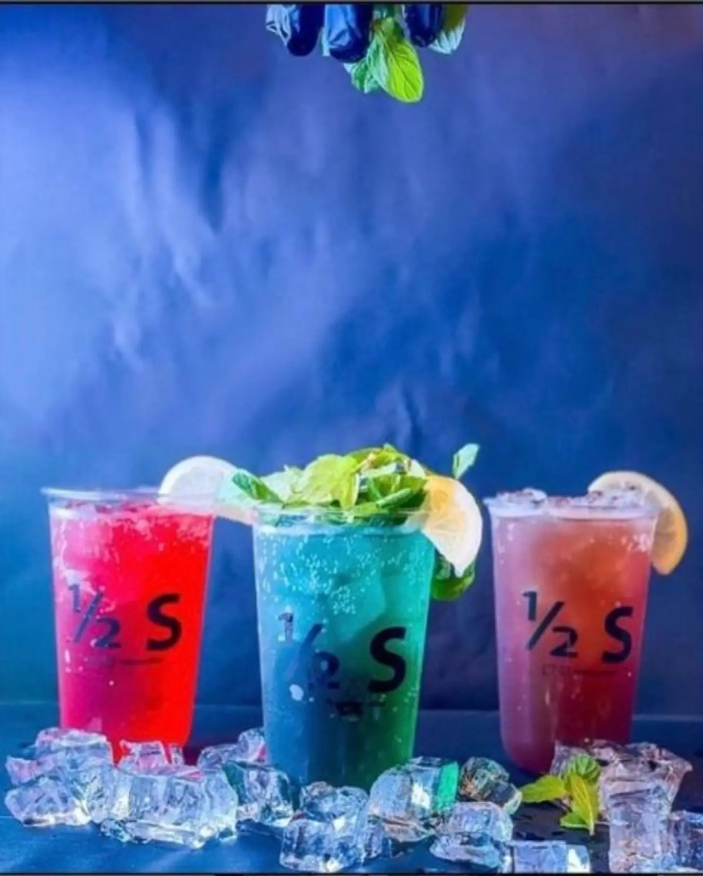 كودرد توت أحمر - صغير