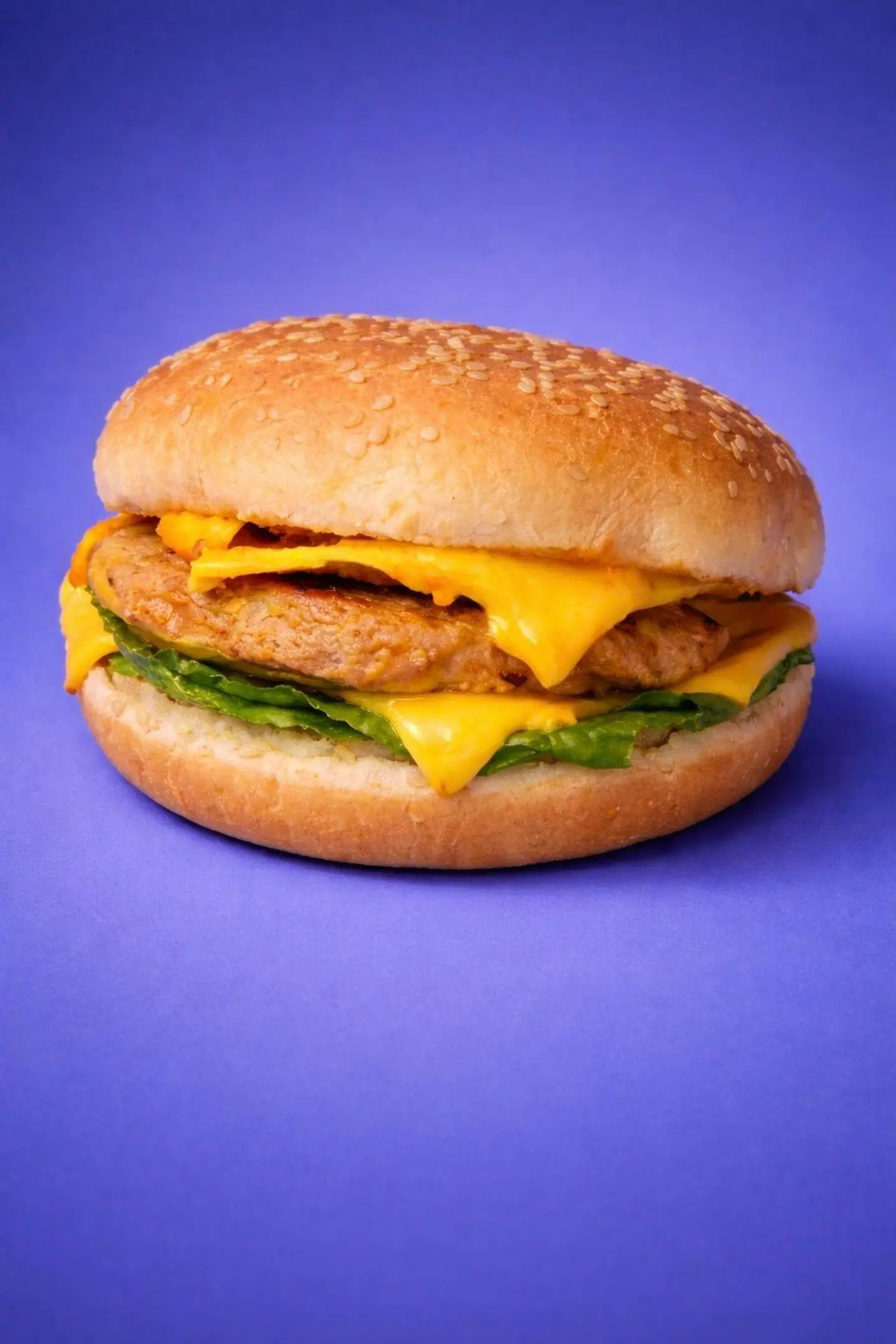 Double Grilled Chicken Burger - Regular