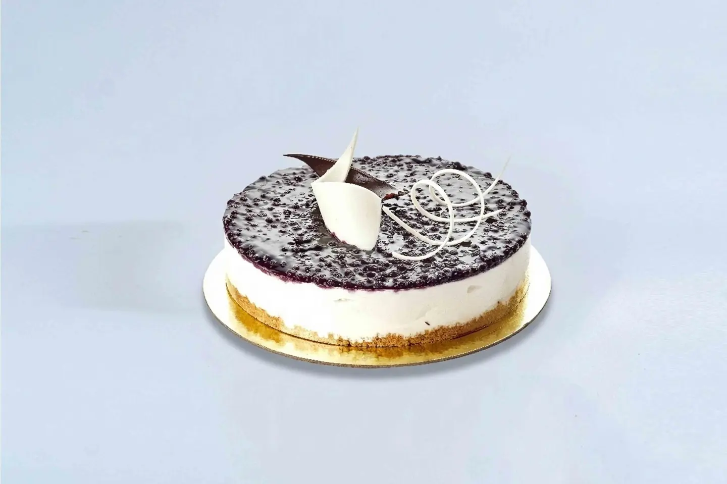 Blueberry Cheesecake Mold - Medium Template