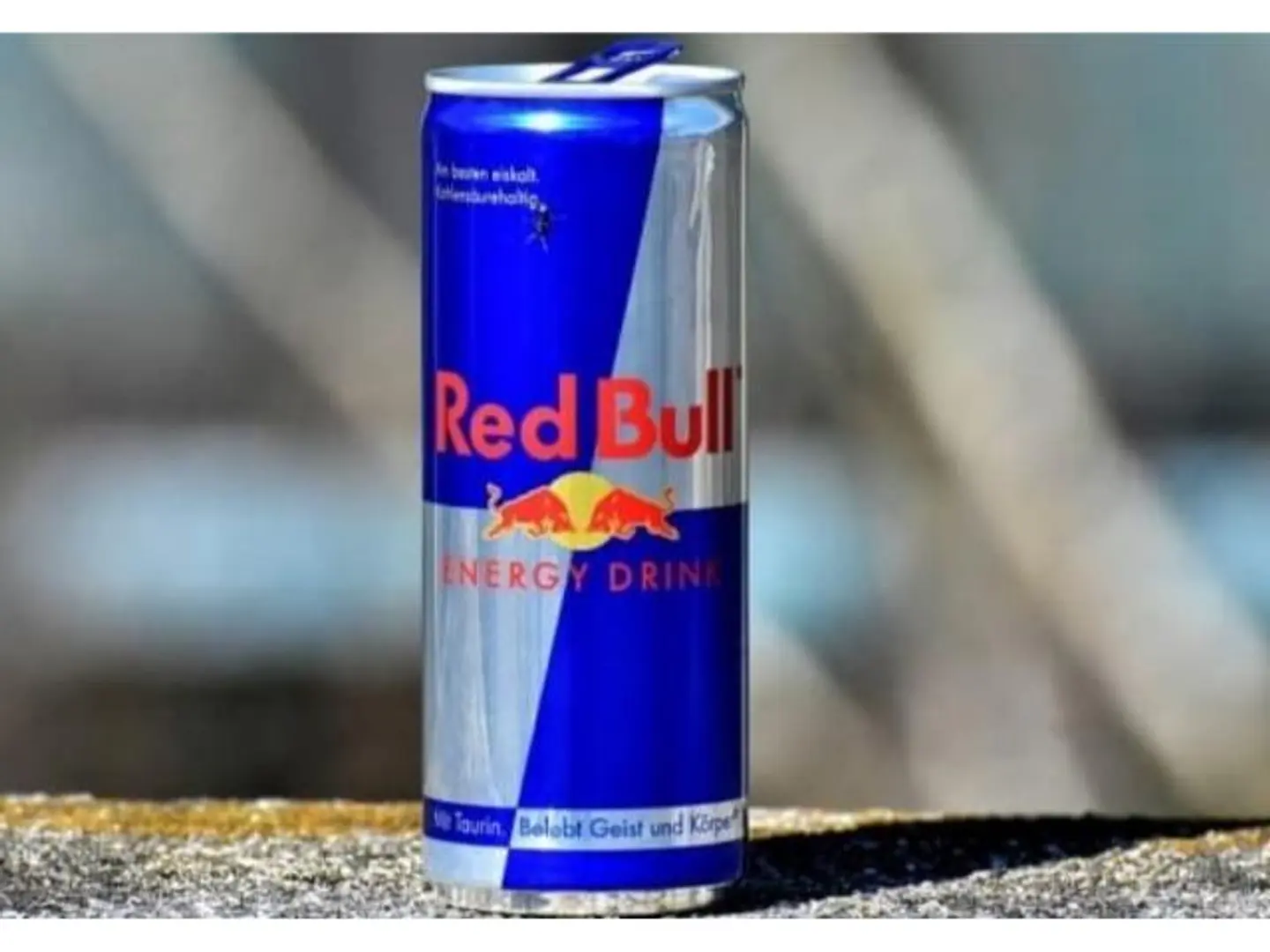 Red Bull With Fruit Flavor - Small Cup